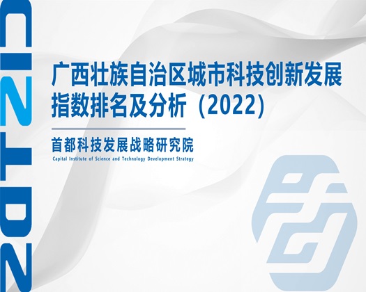 吃奶操逼视频免费看【成果发布】广西壮族自治区城市科技创新发展指数排名及分析（2022）